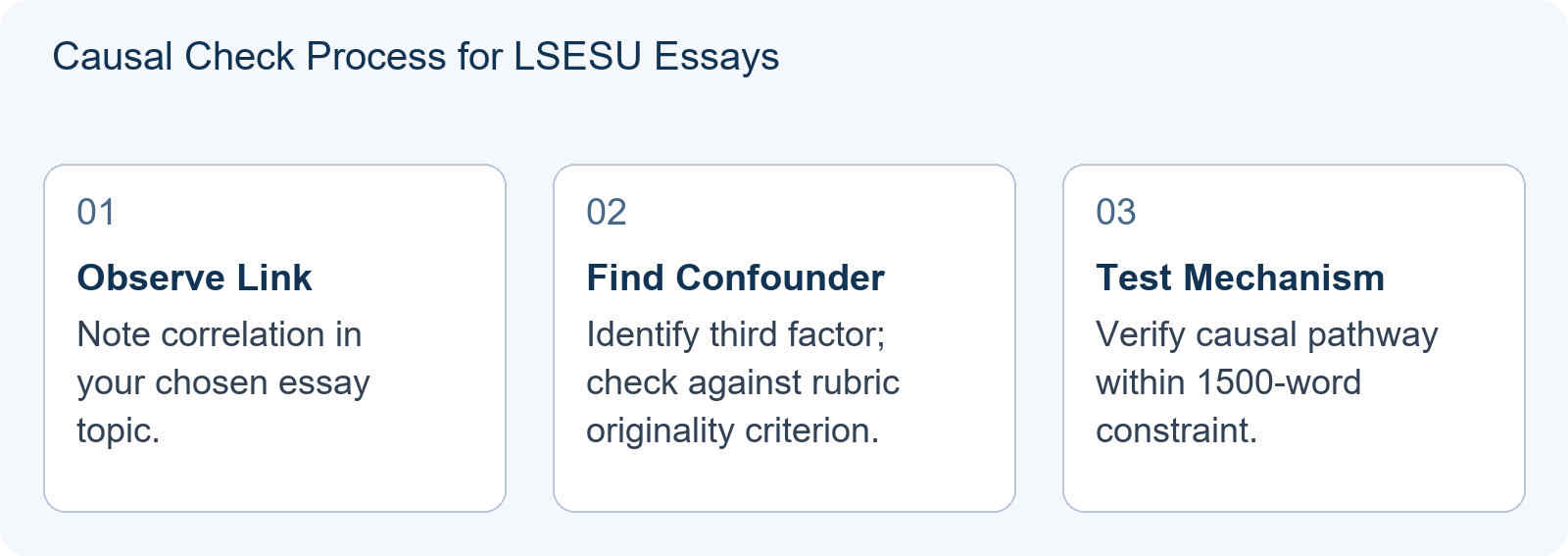 Causal Check Process for LSESU Essays